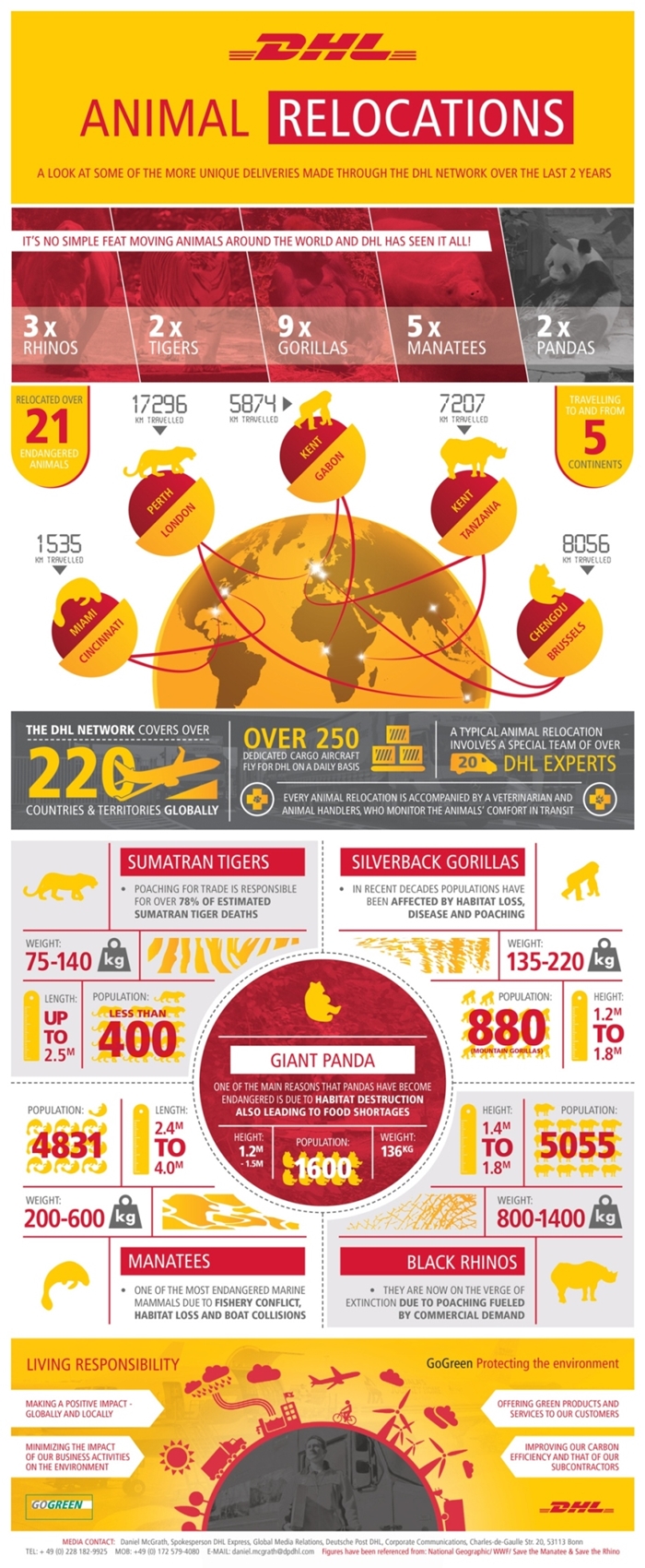 DHL_Pandas-infographic