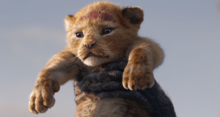 The Lion King Photo: Disney